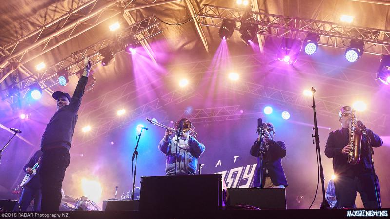 Various Artists @ Homegrown 2018, Wellington 07/04/2018