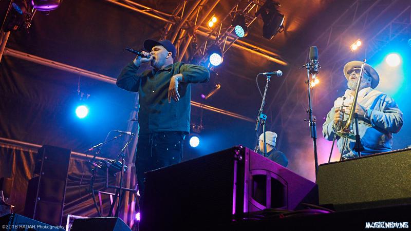 Various Artists @ Homegrown 2018, Wellington 07/04/2018