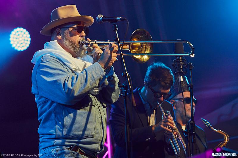 Various Artists @ Homegrown 2018, Wellington 07/04/2018