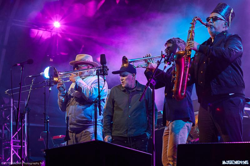 Various Artists @ Homegrown 2018, Wellington 07/04/2018