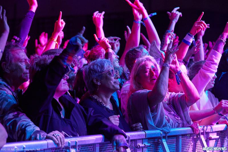 Various Artists @ Homegrown 2018, Wellington 07/04/2018
