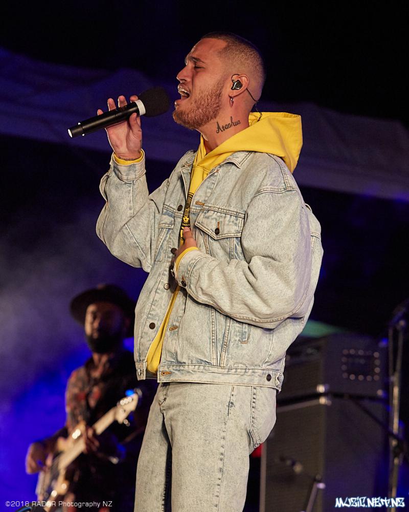 Various Artists @ Homegrown 2018, Wellington 07/04/2018