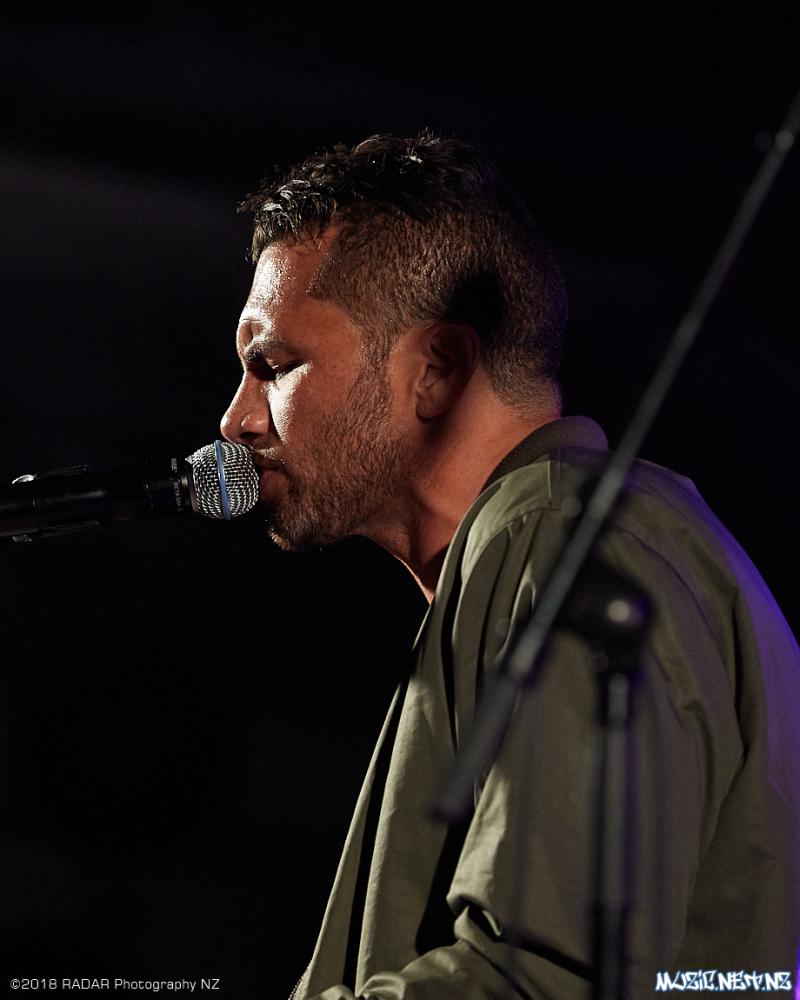 Various Artists @ Homegrown 2018, Wellington 07/04/2018