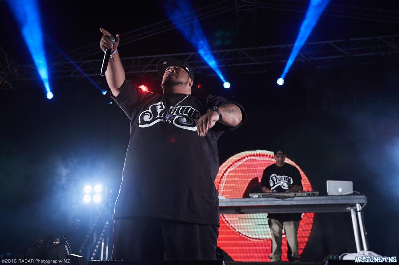Various Artists @ Homegrown 2018, Wellington 07/04/2018