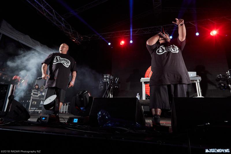 Various Artists @ Homegrown 2018, Wellington 07/04/2018