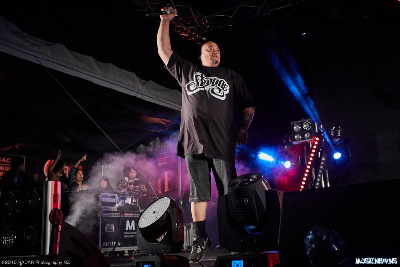 Various Artists @ Homegrown 2018, Wellington 07/04/2018