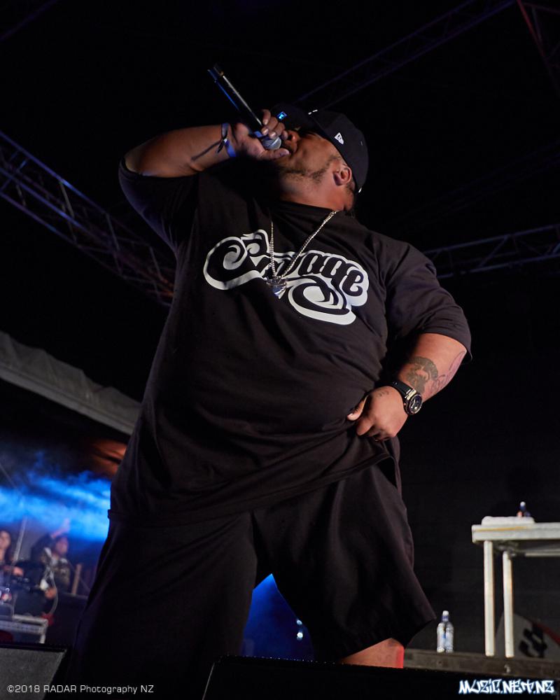 Various Artists @ Homegrown 2018, Wellington 07/04/2018