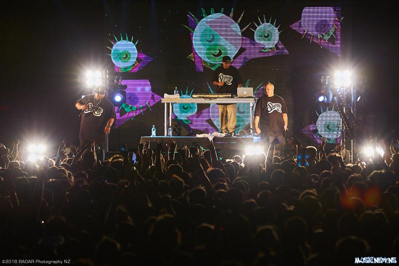 Various Artists @ Homegrown 2018, Wellington 07/04/2018