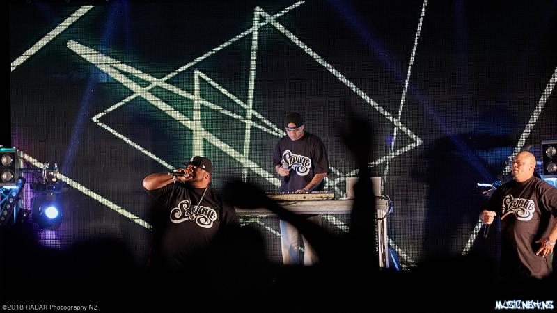 Various Artists @ Homegrown 2018, Wellington 07/04/2018