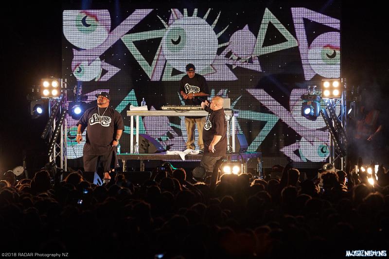 Various Artists @ Homegrown 2018, Wellington 07/04/2018