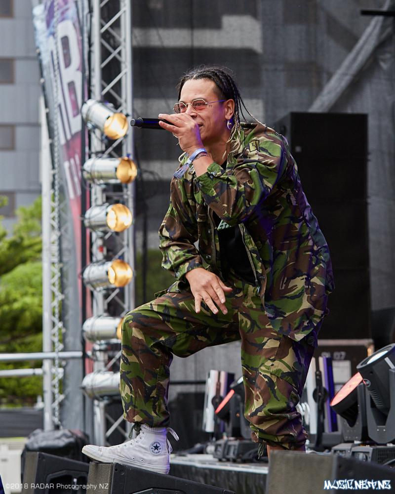 Various Artists @ Homegrown 2018, Wellington 07/04/2018