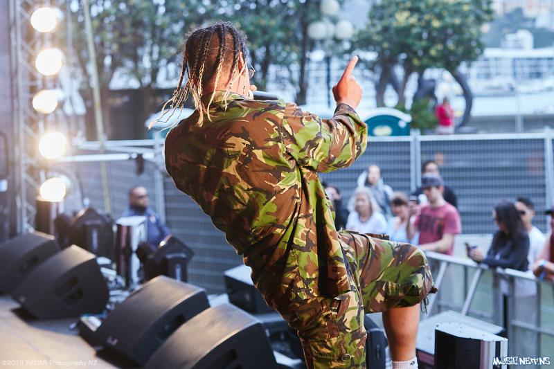 Various Artists @ Homegrown 2018, Wellington 07/04/2018