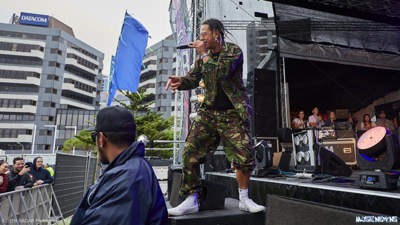 Various Artists @ Homegrown 2018, Wellington 07/04/2018
