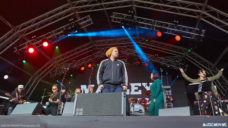 Various Artists @ Homegrown 2018, Wellington 07/04/2018