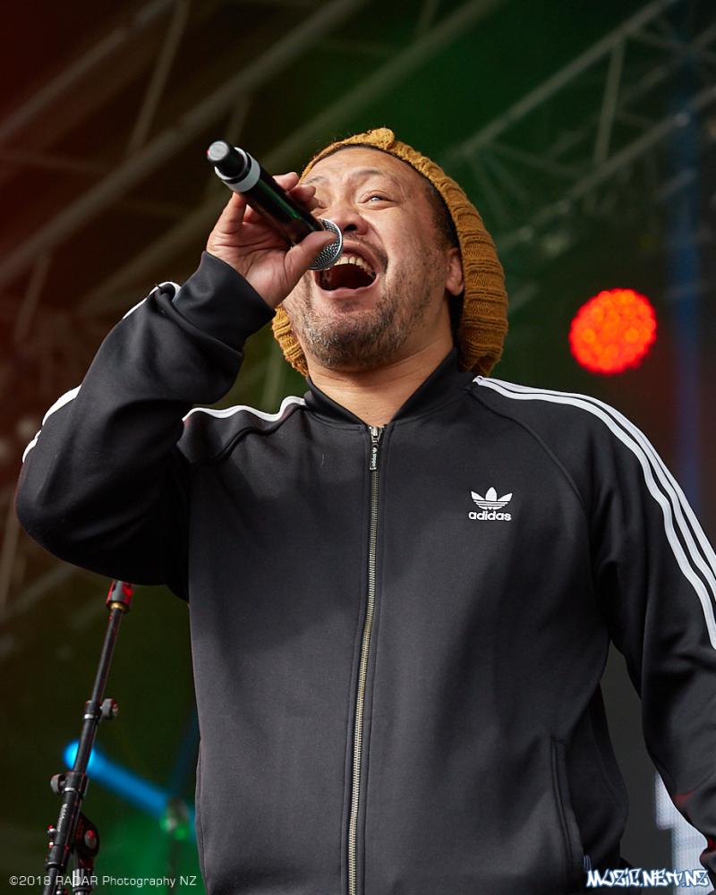 Various Artists @ Homegrown 2018, Wellington 07/04/2018