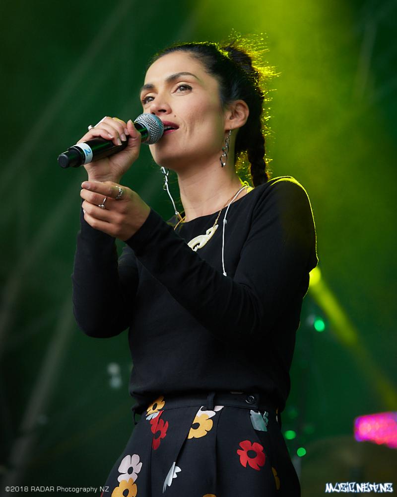 Various Artists @ Homegrown 2018, Wellington 07/04/2018