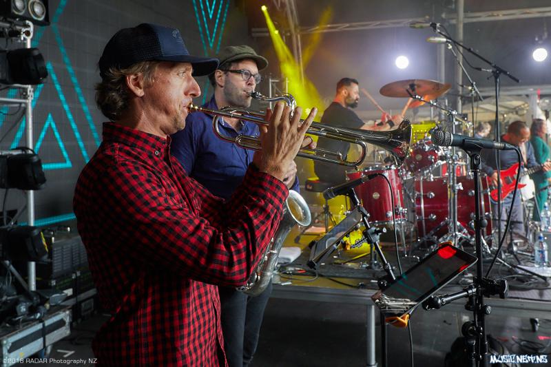 Various Artists @ Homegrown 2018, Wellington 07/04/2018