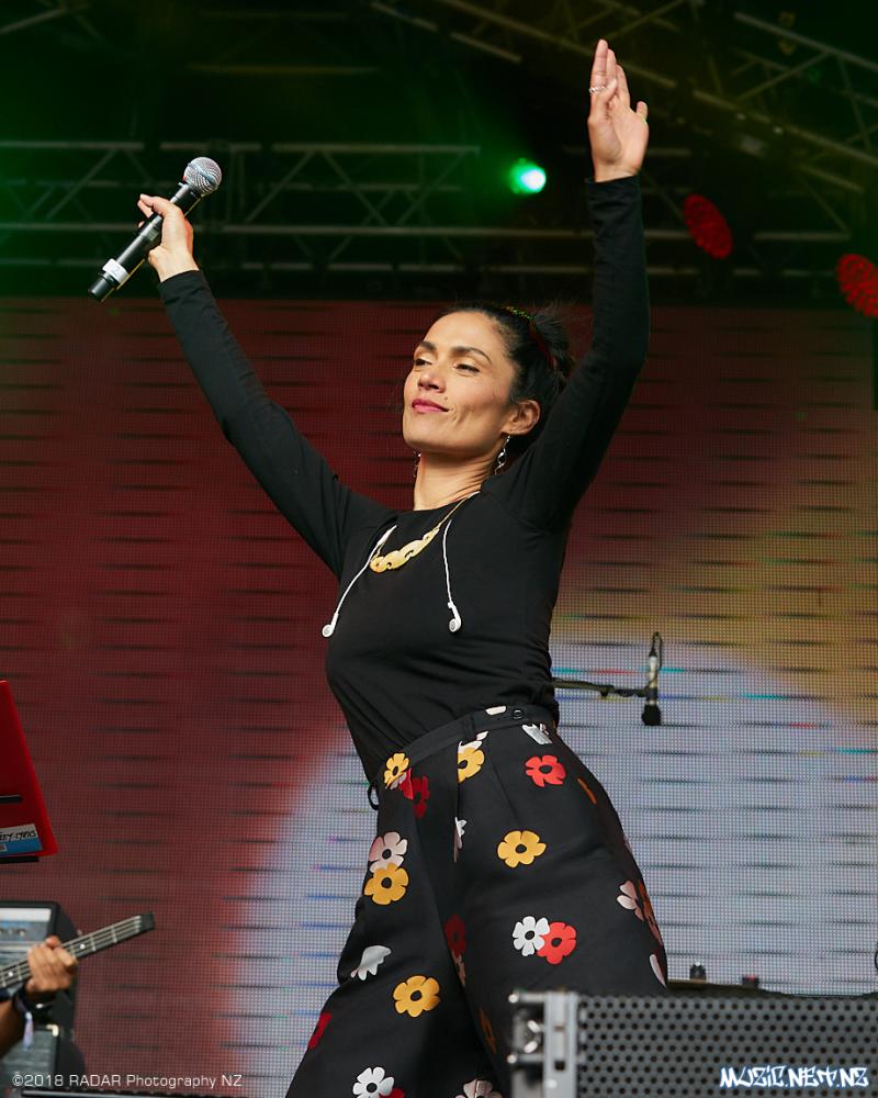 Various Artists @ Homegrown 2018, Wellington 07/04/2018