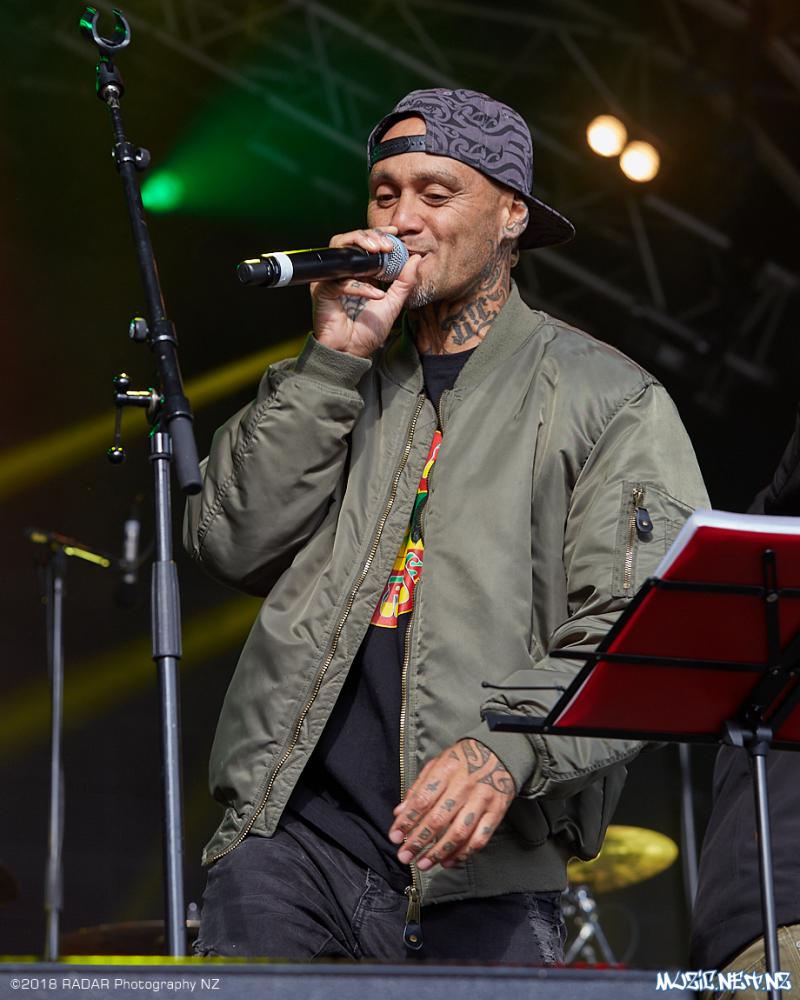 Various Artists @ Homegrown 2018, Wellington 07/04/2018