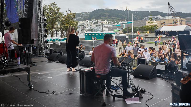 Various Artists @ Homegrown 2018, Wellington 07/04/2018