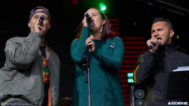 Various Artists @ Homegrown 2018, Wellington 07/04/2018