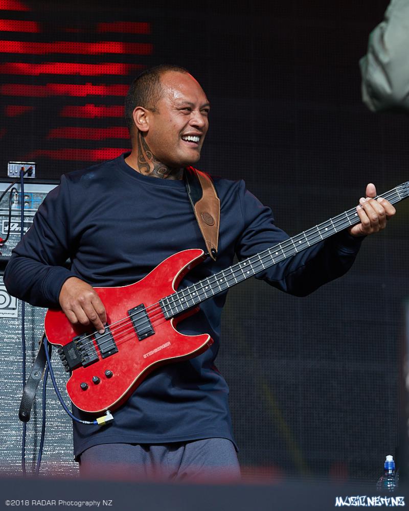 Various Artists @ Homegrown 2018, Wellington 07/04/2018