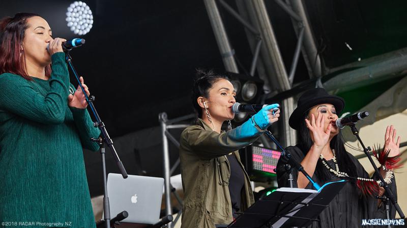 Various Artists @ Homegrown 2018, Wellington 07/04/2018