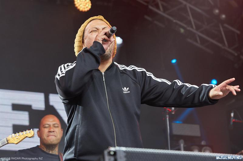 Various Artists @ Homegrown 2018, Wellington 07/04/2018