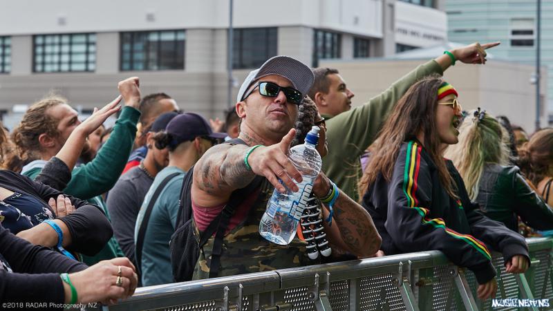 Various Artists @ Homegrown 2018, Wellington 07/04/2018