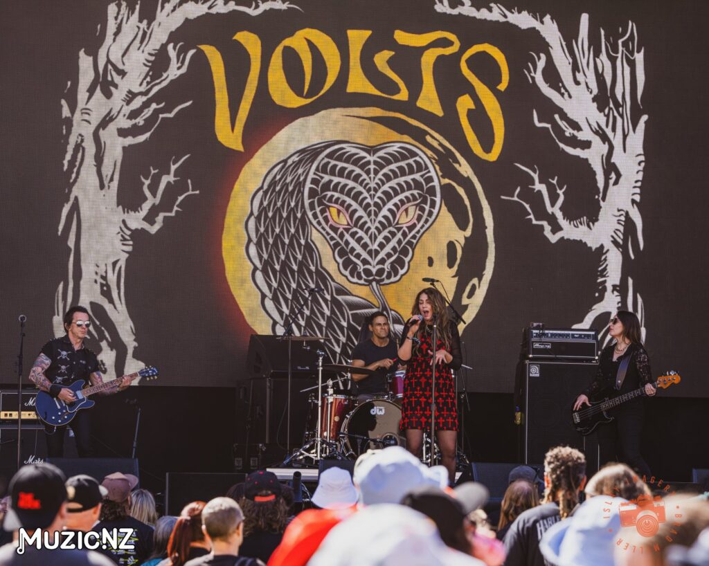 Volts @ Homegrown 2024, Wellington Waterfront 16/03/2024
