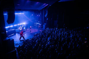 Copy of gl25 tadpole 15