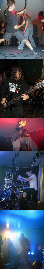 Cage Demise Newsletter Interview 2