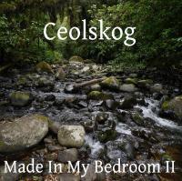 Ceolskog Newsletter Interview 2