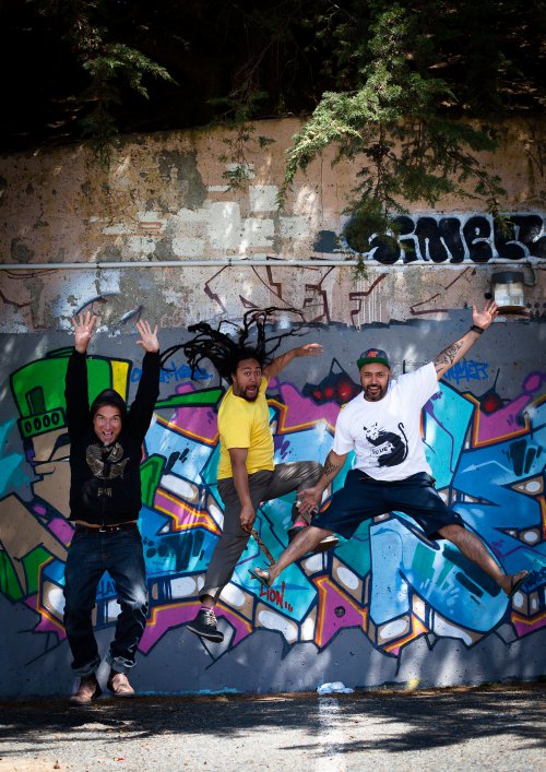 Coastella Interview: TrinityRoots – Muzic.NZ