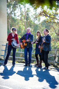 Hobnail Newsletter Interview 2