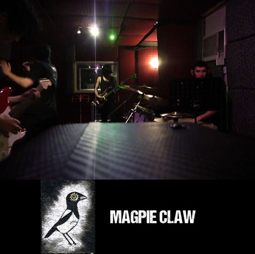 Magpie Claw Newsletter Interview 1