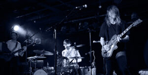 Sea Mouse Newsletter Interview 3