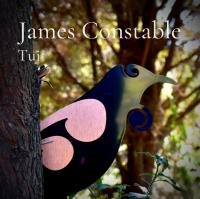 17 Year Old Singer/songwriter James Constable: New Album 'tui' Takes Flight