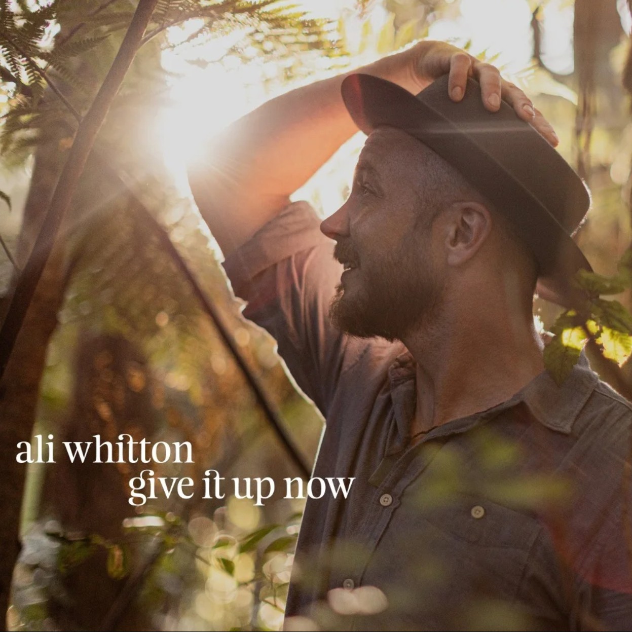Aliwhittoncover