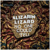 Alizarin Lizard Release Second New Single No One Could Tell