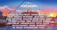All Kiwi Music Festival Celebrates 15 Years And Reaches Impressive Milestone