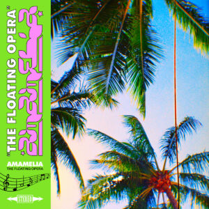 Amameliacover