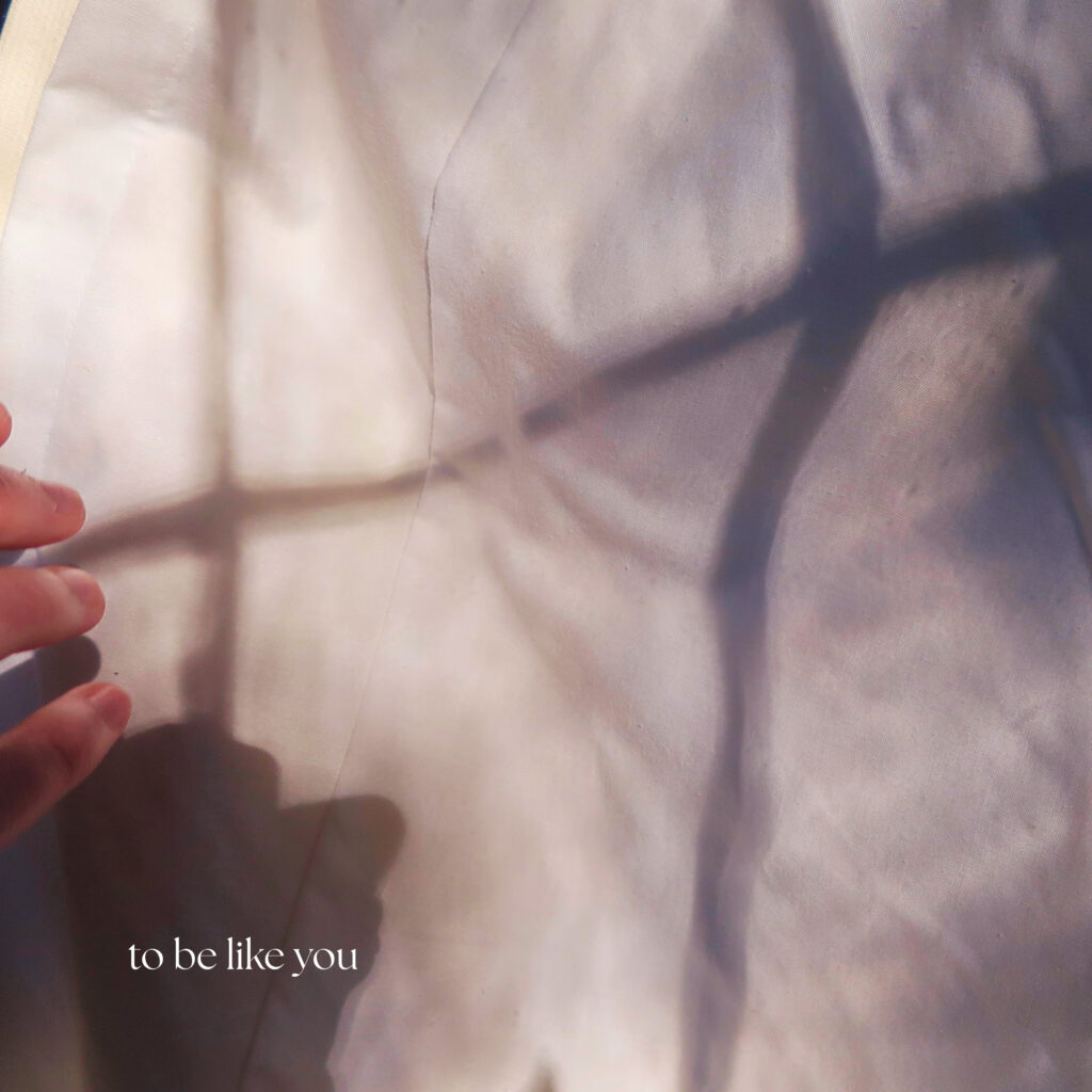 Ambercarlywilliamscover