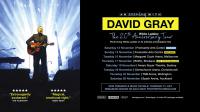 An Evening With David Gray | Touring New Zealand November 2022