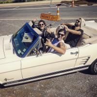Animalhead Debut Album 'blood, Sweat & Beers' Out Now!