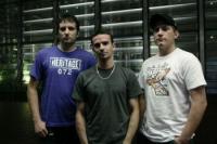Antiform Announce Auckland Show