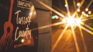 Bayleys Tussock Country Tallys $2.1m For Gore