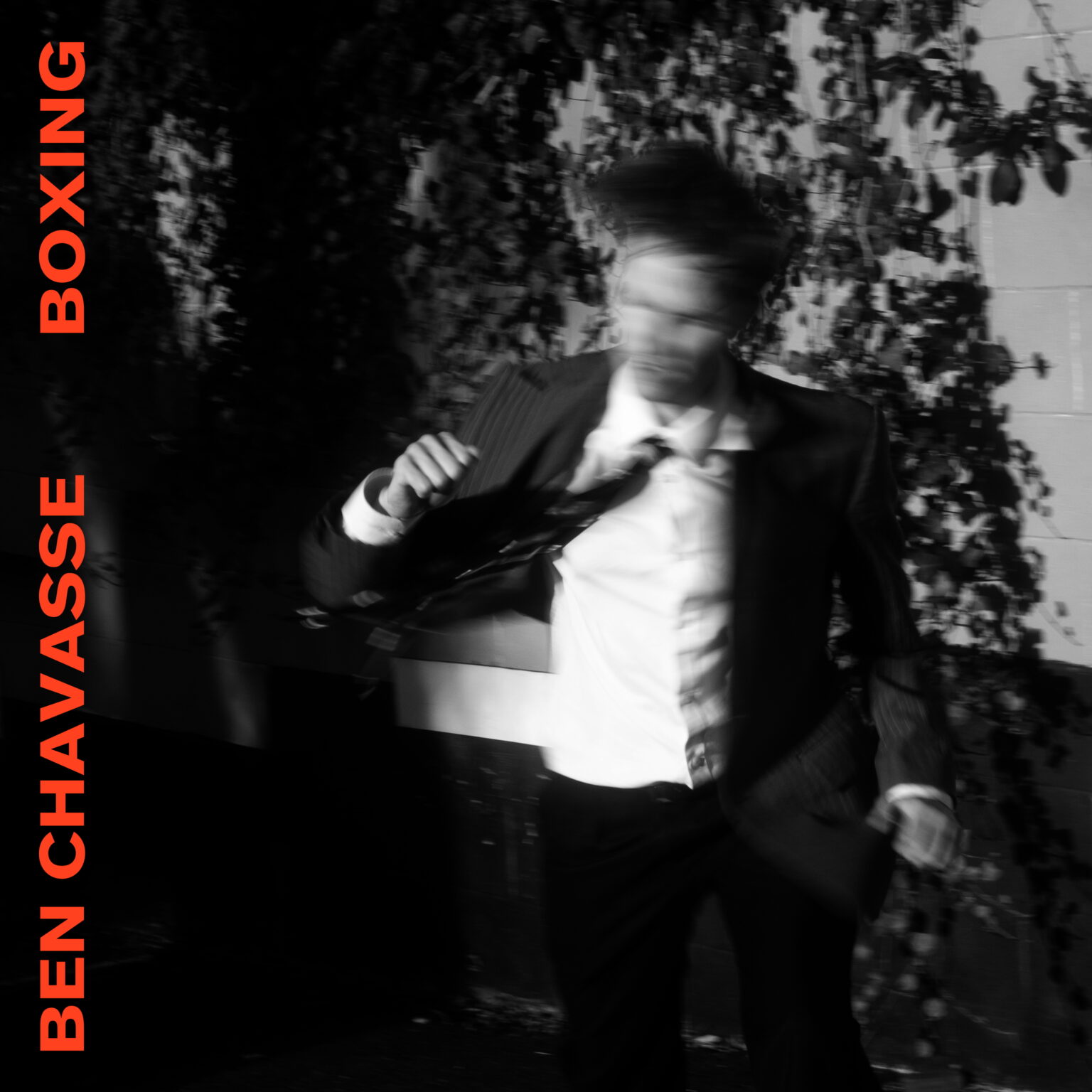Benchavassecover