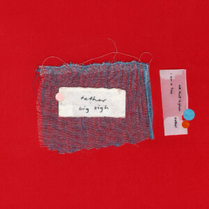 Bigsighcover