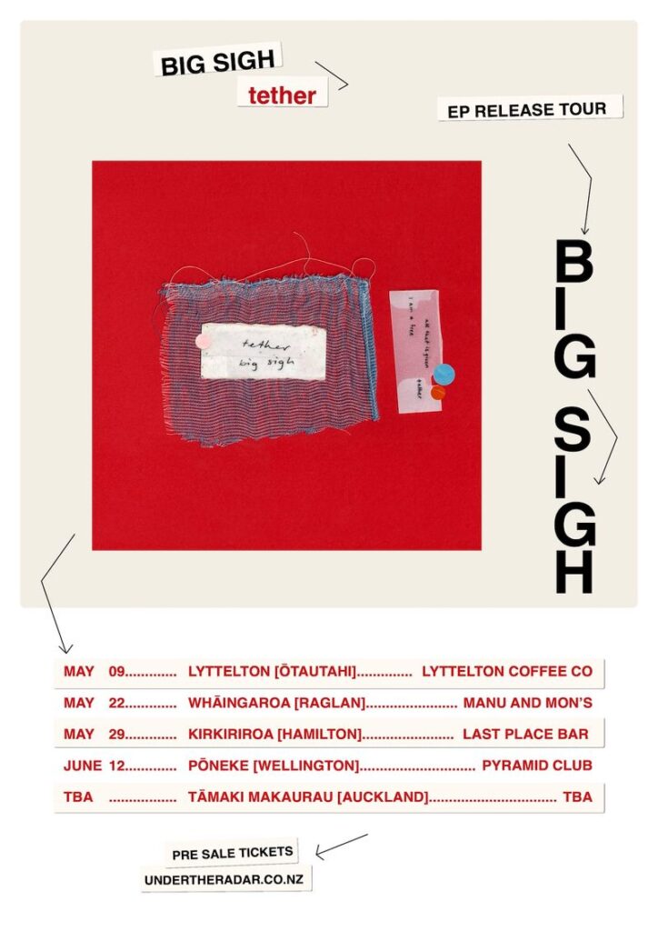 Bigsighposter